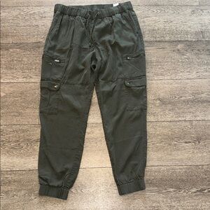 Banana Republic Sage Green Jogger Tencel Pants